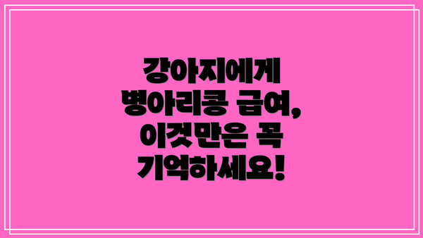 강아지에게 병아리콩 급여, 이것만은 꼭 기억하세요!
