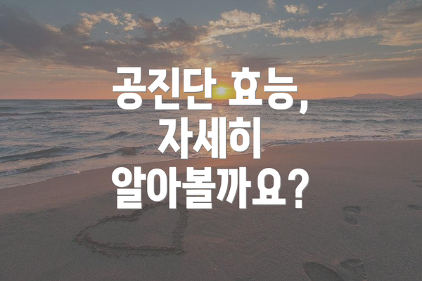 공진단 효능, 자세히 알아볼까요?