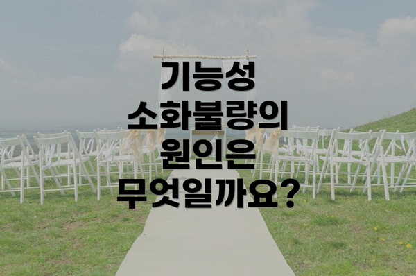 기능성 소화불량의 원인은 무엇일까요?