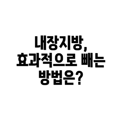 내장지방, 효과적으로 빼는 방법은?