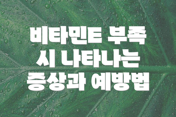 비타민E 부족 시 나타나는 증상과 예방법