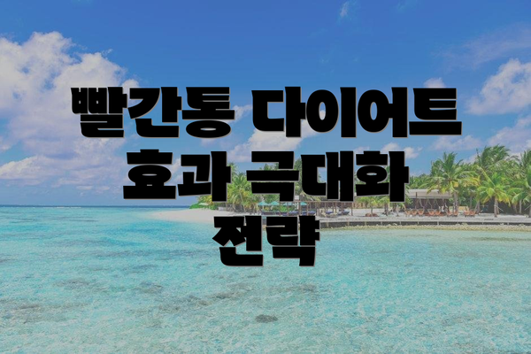 빨간통 다이어트 효과 극대화 전략