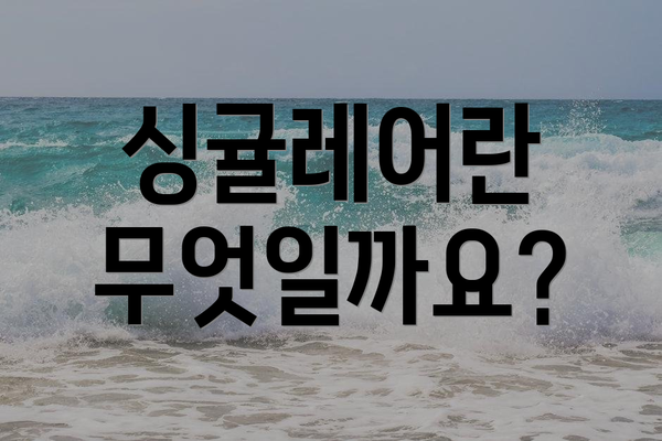 싱귤레어란 무엇일까요?