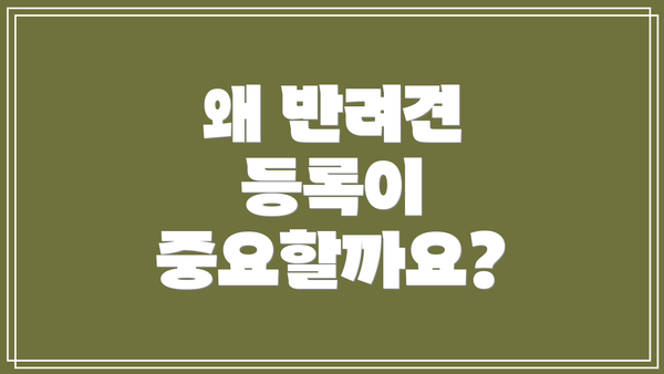 왜 반려견 등록이 중요할까요?