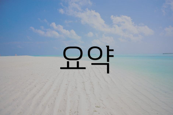 요약