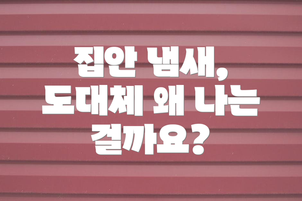 집안 냄새, 도대체 왜 나는 걸까요?