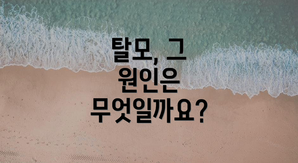 탈모, 그 원인은 무엇일까요?