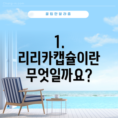 1. 리리카캡슐이란 무엇일까요?