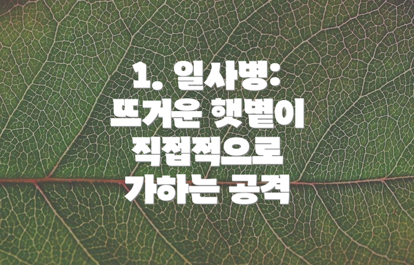 1. 일사병: 뜨거운 햇볕이 직접적으로 가하는 공격