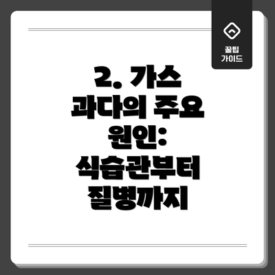 2. 가스 과다의 주요 원인: 식습관부터 질병까지