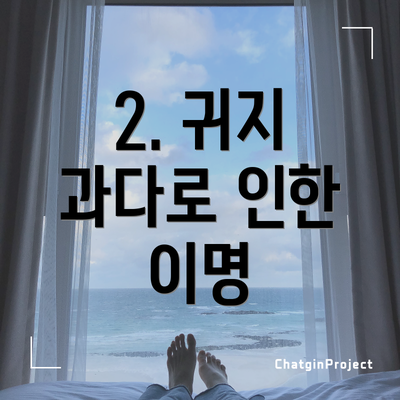 2. 귀지 과다로 인한 이명