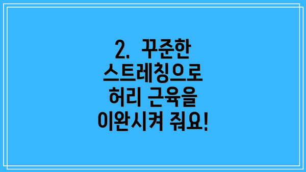 2.  꾸준한 스트레칭으로 허리 근육을 이완시켜 줘요!