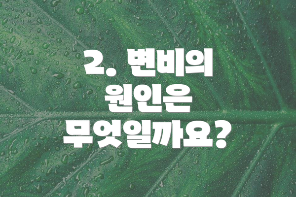 2. 변비의 원인은 무엇일까요?