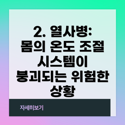 2. 열사병: 몸의 온도 조절 시스템이 붕괴되는 위험한 상황