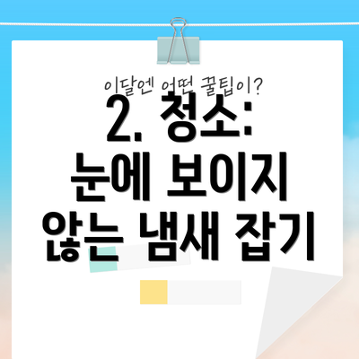 2. 청소: 눈에 보이지 않는 냄새 잡기