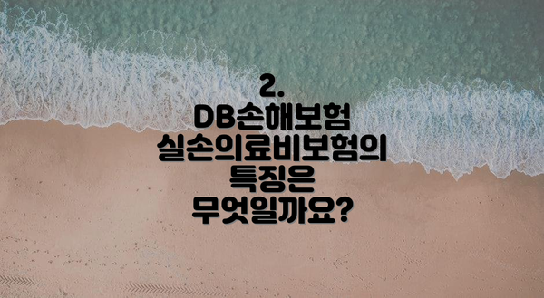 2. DB손해보험 실손의료비보험의 특징은 무엇일까요?