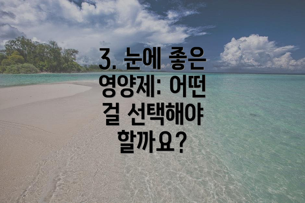 3. 눈에 좋은 영양제: 어떤 걸 선택해야 할까요?