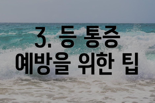 3. 등 통증 예방을 위한 팁