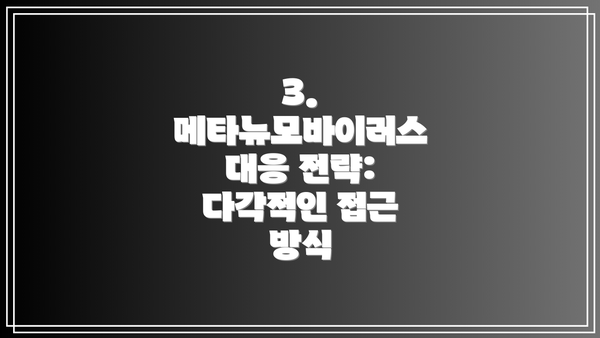 3. 메타뉴모바이러스 대응 전략: 다각적인 접근 방식