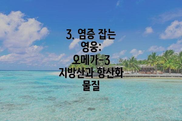 3. 염증 잡는 영웅: 오메가-3 지방산과 항산화 물질