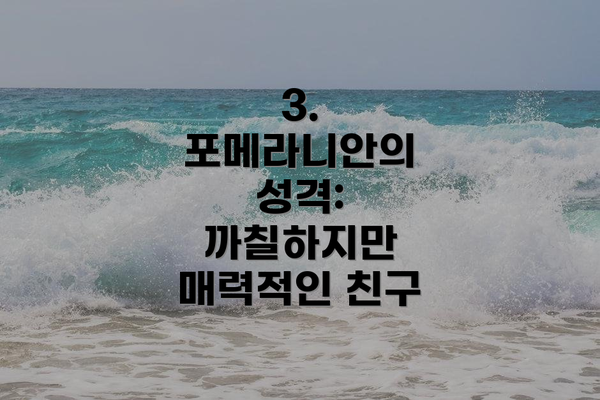 3. 포메라니안의 성격: 까칠하지만 매력적인 친구
