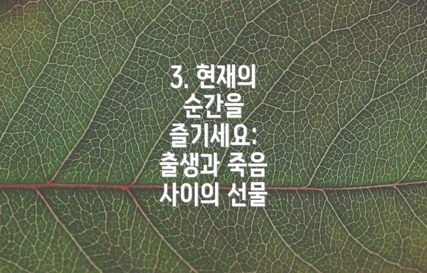 3. 현재의 순간을 즐기세요: 출생과 죽음 사이의 선물