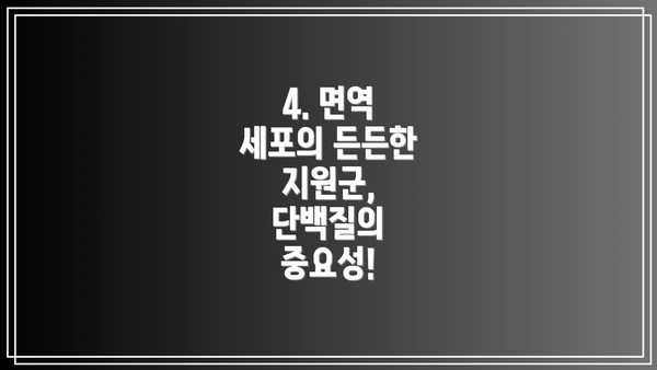 4. 면역 세포의 든든한 지원군, 단백질의 중요성!