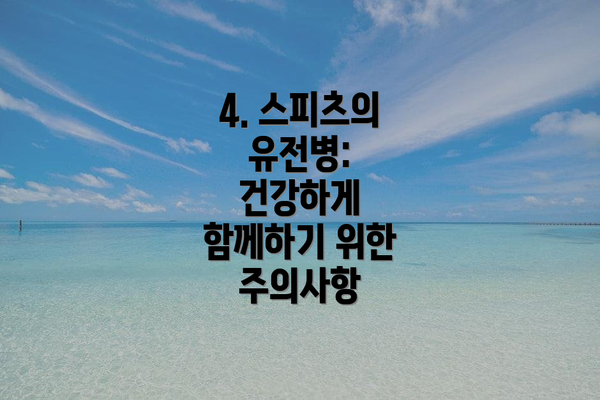 4. 스피츠의 유전병: 건강하게 함께하기 위한 주의사항