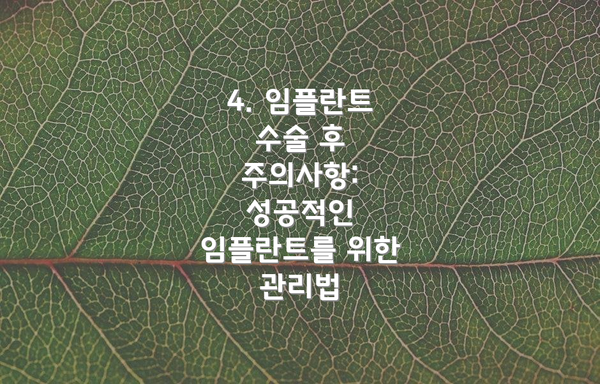 4. 임플란트 수술 후 주의사항: 성공적인 임플란트를 위한 관리법