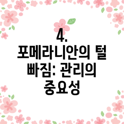 4. 포메라니안의 털 빠짐: 관리의 중요성