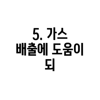 5. 가스 배출에 도움이 되
