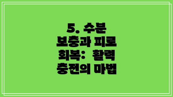 5. 수분 보충과 피로 회복:  활력 충전의 마법