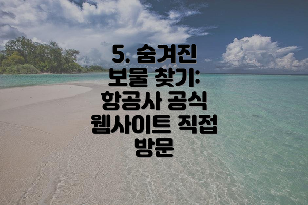 5. 숨겨진 보물 찾기: 항공사 공식 웹사이트 직접 방문