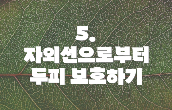 5. 자외선으로부터 두피 보호하기