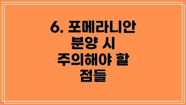 6. 포메라니안 분양 시 주의해야 할 점들