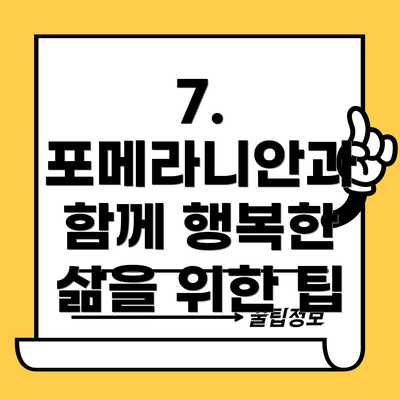 7. 포메라니안과 함께 행복한 삶을 위한 팁