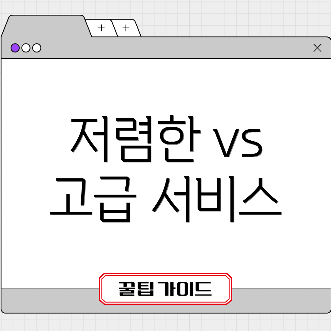 저렴한 vs 고급 서비스