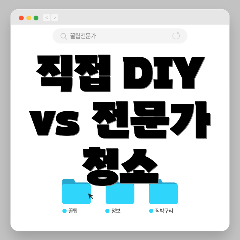 직접 DIY vs 전문가 청소