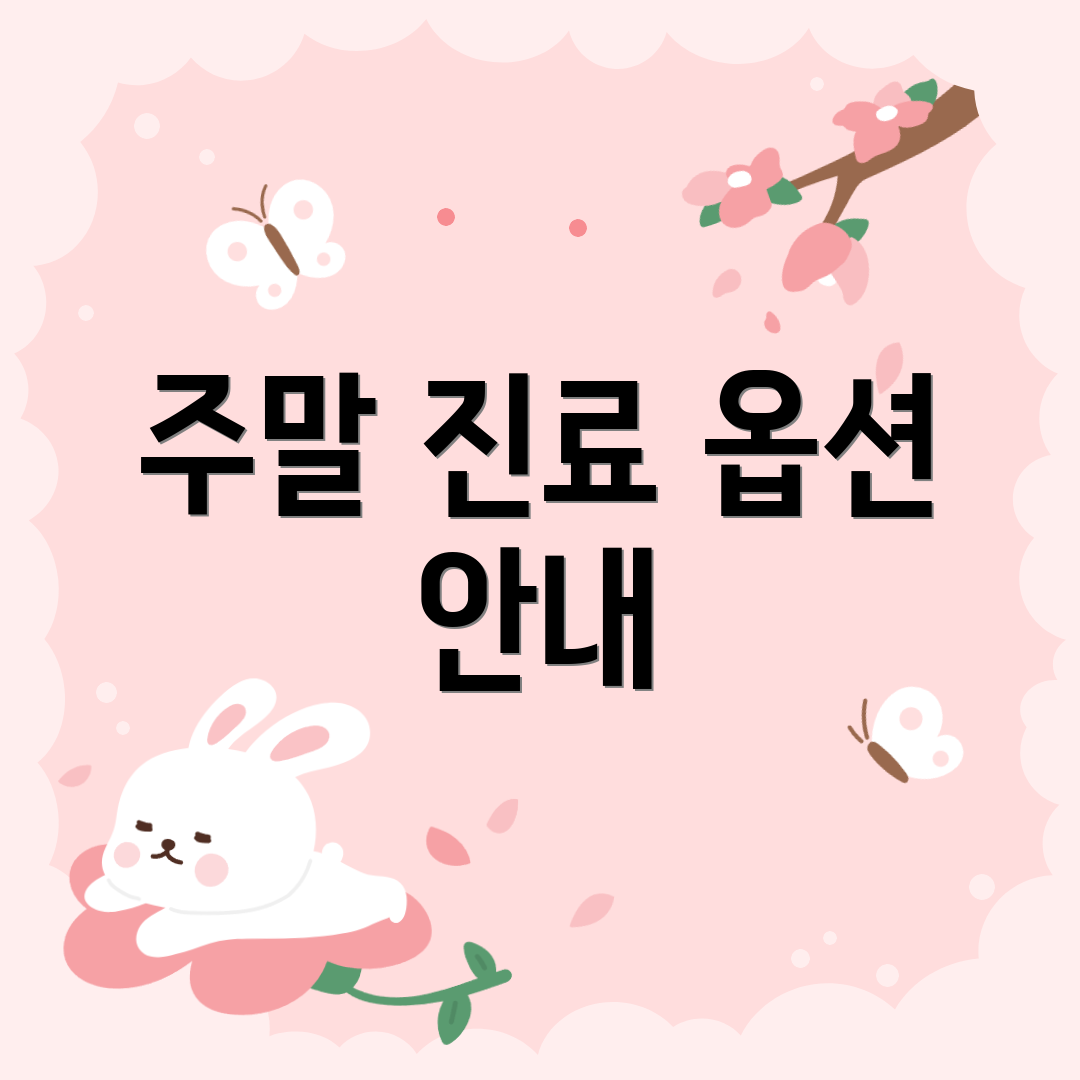 주말 진료 옵션 안내