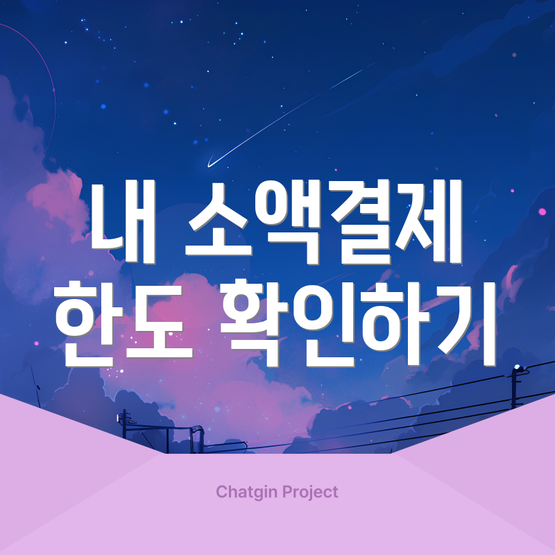내 소액결제 한도 확인하기