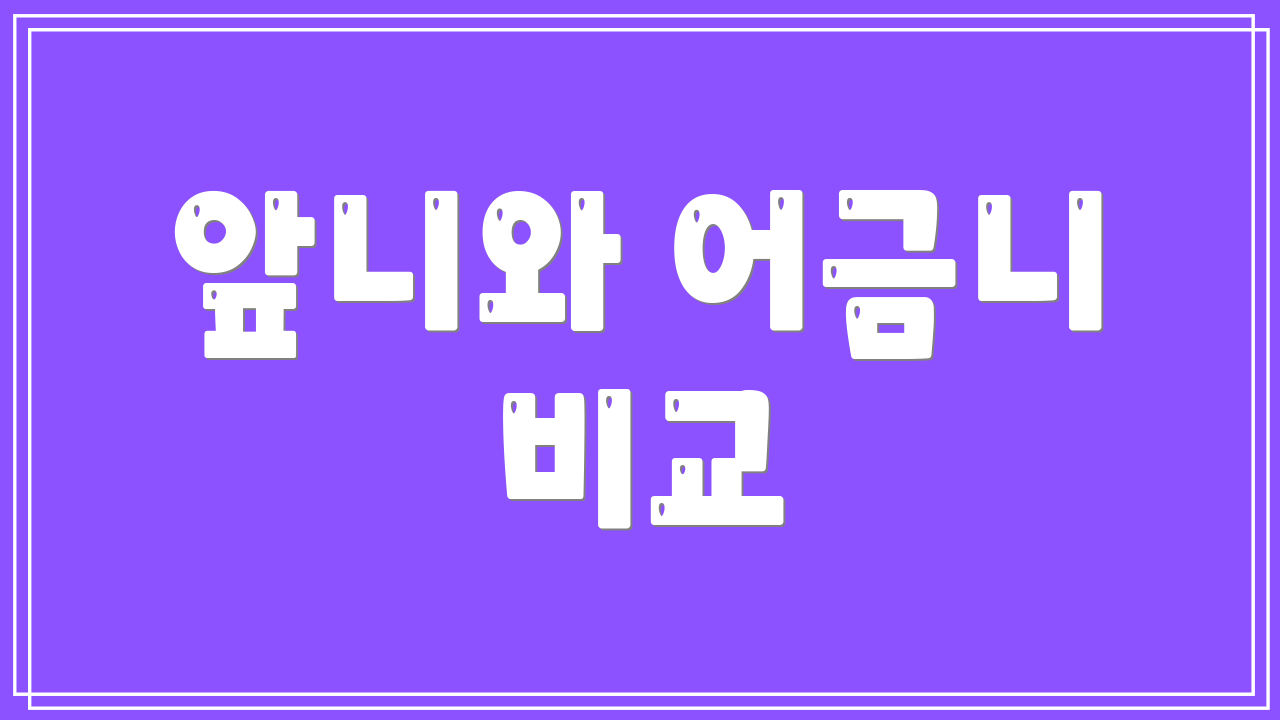 앞니와 어금니 비교