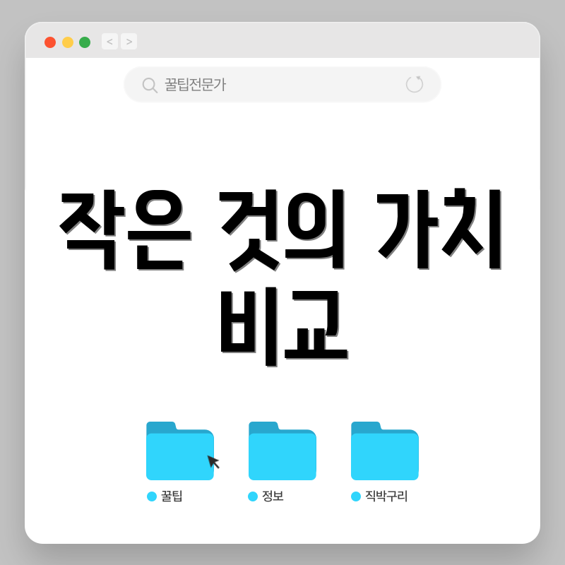 작은 것의 가치 비교
