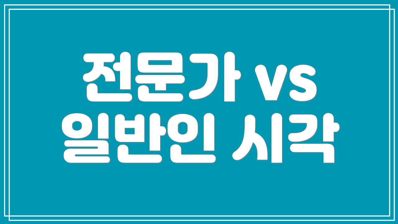 전문가 vs 일반인 시각
