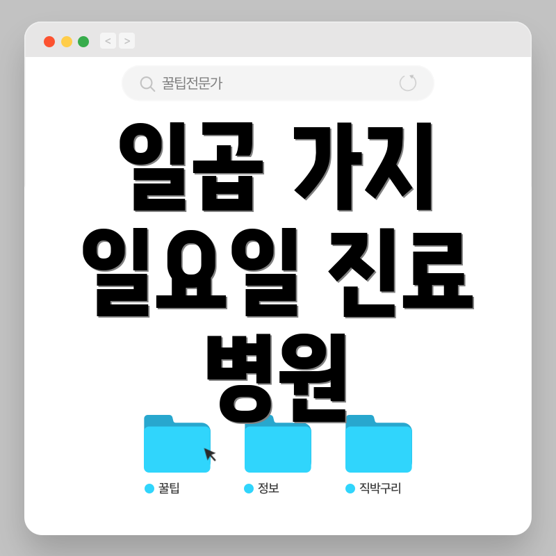 일곱 가지 일요일 진료 병원