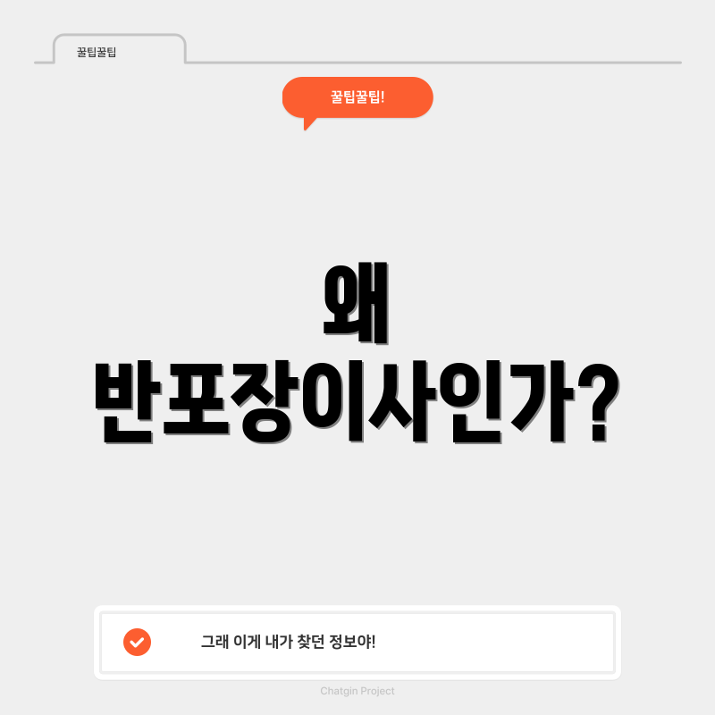 왜 반포장이사인가?