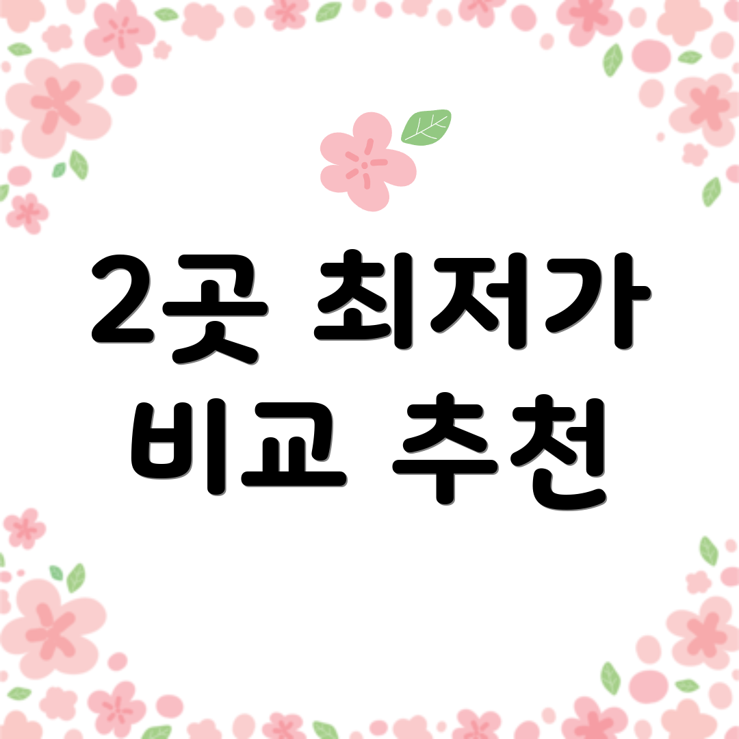 2곳 최저가 비교 추천