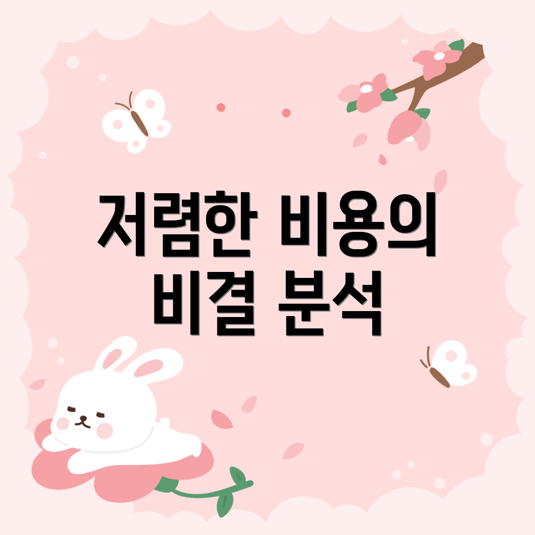 저렴한 비용의 비결 분석