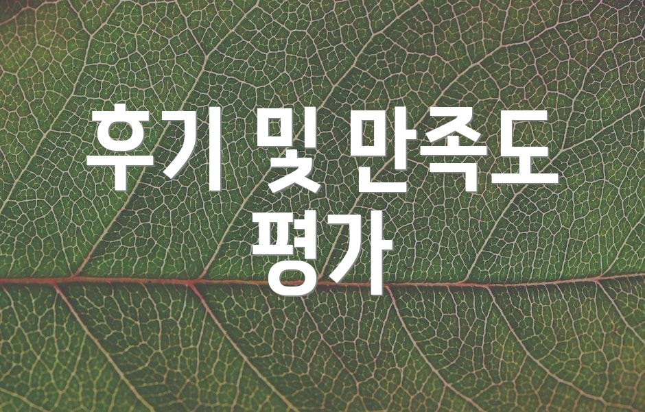후기 및 만족도 평가
