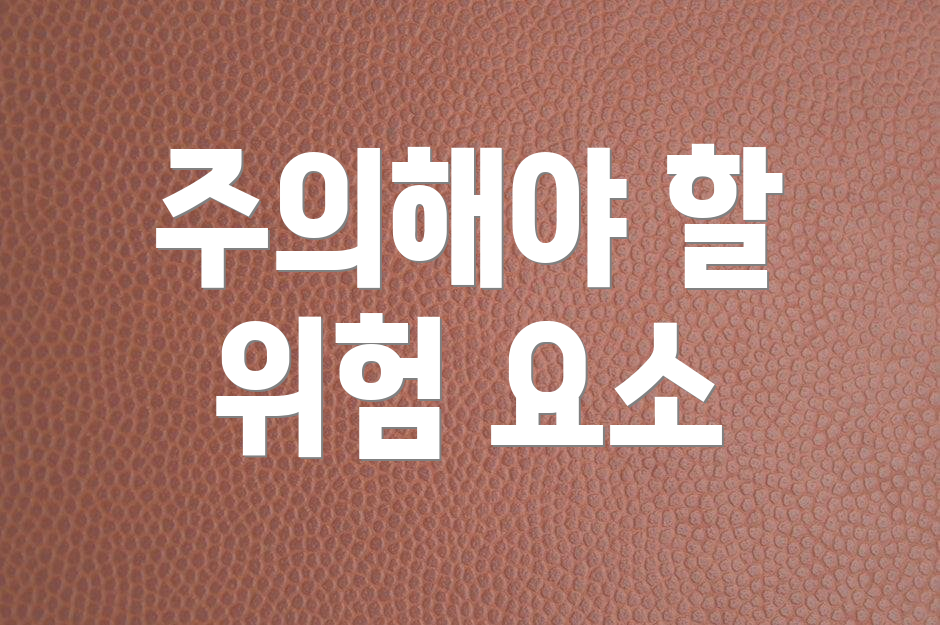 주의해야 할 위험 요소