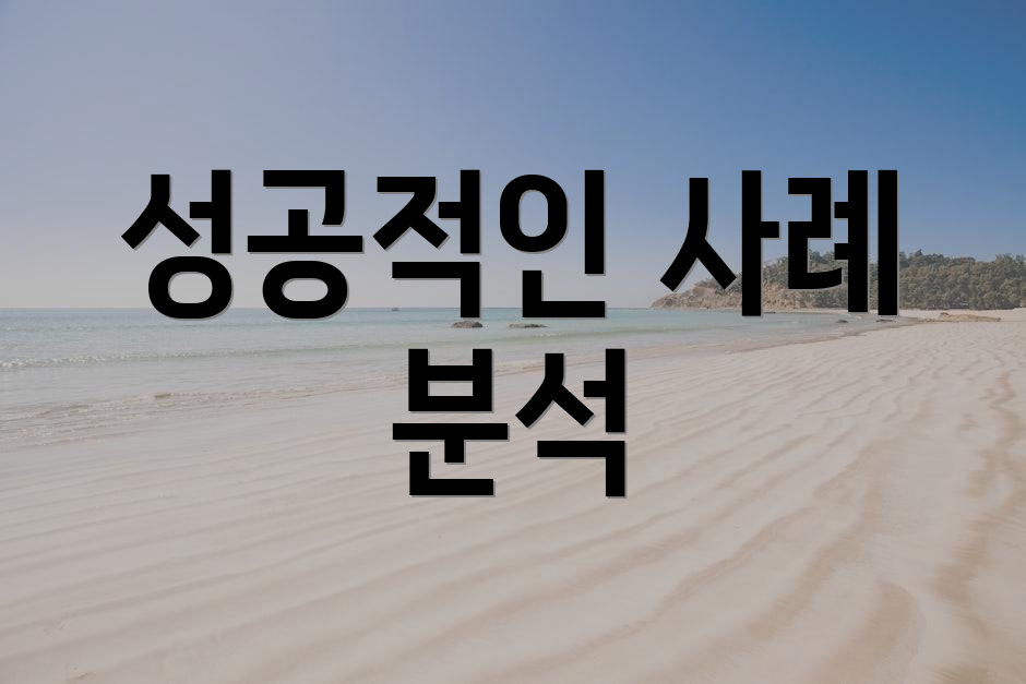 성공적인 사례 분석
